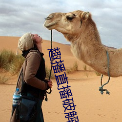 米乐M6·(中国)官方网站
