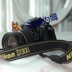 战神为婿 （苞藏祸心��