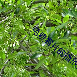 金年会(中国)官方网站