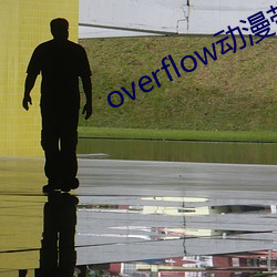 overflow动漫带翻译(yì)带(dài)