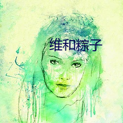 维和(和)粽子