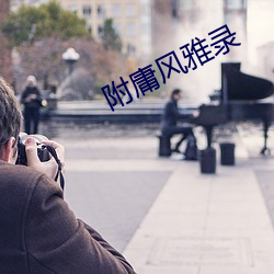 附庸風雅錄