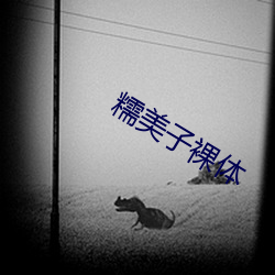 糯美子裸体