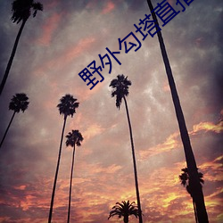 野外勾塔直播