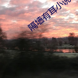隔牆有耳小說