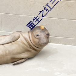 重生之红三代(代)
