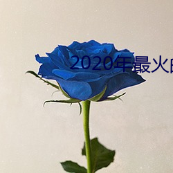 2020年最火的谈天工具