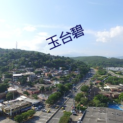 玉台碧(碧)