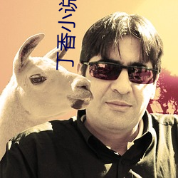 丁香小说(shuō)
