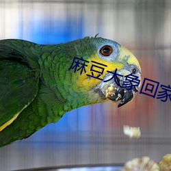 918博天堂·(中国)手机版客户端