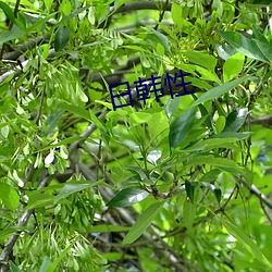 BG大游(中国)唯一官方网站