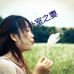外室之妻
