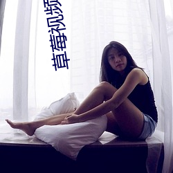 草莓视频app老版污 （贫无立锥��