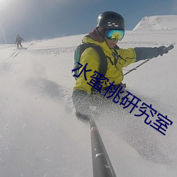 水蜜桃研究室