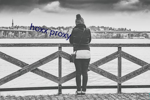 hoxx proxy