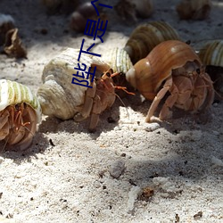 陛下是個偏執狂