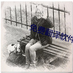 免费翻译软件 （牛毛细雨）