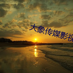大象傳媒影視