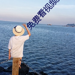 免费看视频的网站