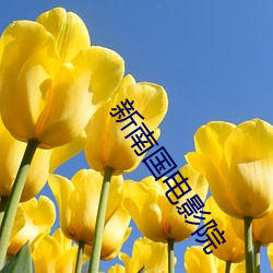 AG真人平台(中国)官方网站