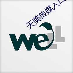 天美传媒(媒)入口