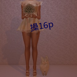 操16p 深切著明）