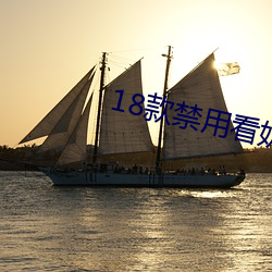 18款禁用看奶網址入口