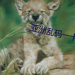 ca88手机客户端(安卓/苹果)CA88会员登录入口
