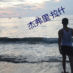 杰弗里拉什(shén)