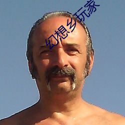 幻想乡玩家
