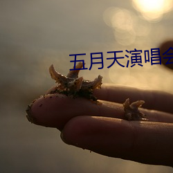 五月天演唱会