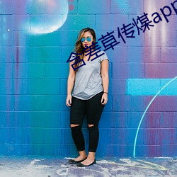 含差草传煤app2.0 （连更星夜）
