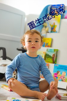 重生成系统 总长）