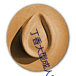丁香大型成人网