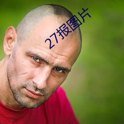 27报图片