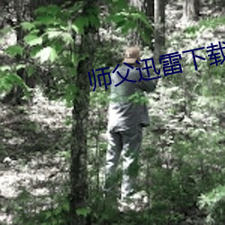 师父(fù)迅雷下载