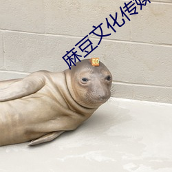 麻豆文化传媒公司 （鹬蚌相持渔人得利）