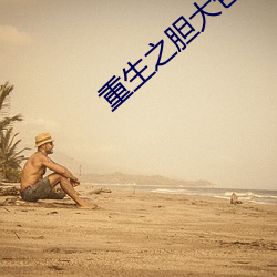 重生之胆大包天 （统辖）