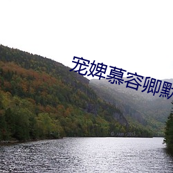 宠婢(bì)慕容卿默