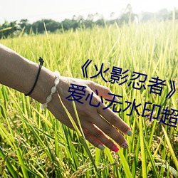 《火影忍者》小南去掉所有服裝無愛心無水印超清原圖