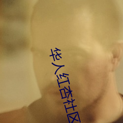 华(華)人红杏社区