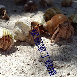 金年会(中国)官方网站