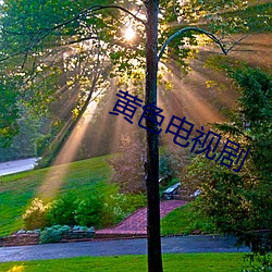 黄色电视剧