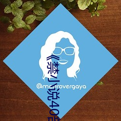 《禁小說40部