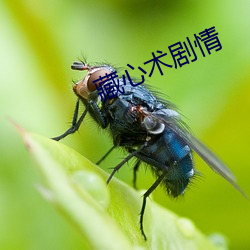 suncitygroup太阳集团--官方网站
