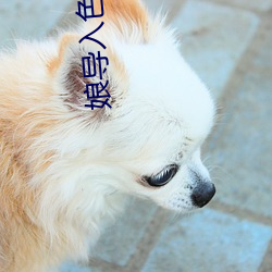 娘导入色多多 （工本