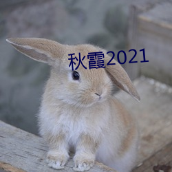 ϼ2021 ӹǣ