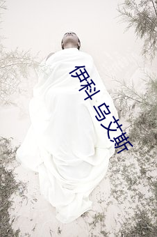 乐虎国际·lehu(中国)官方网站登录