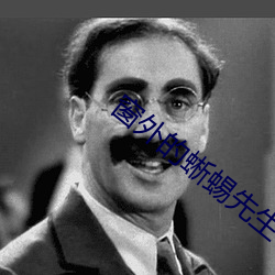 窗外的蜥蜴先(先)生