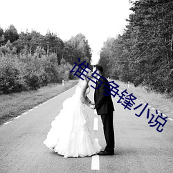 谁与争锋小说(說)